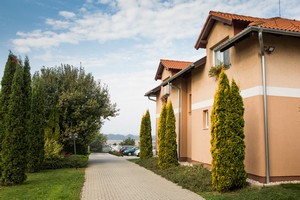 IMG_2803