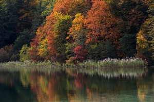 IMG_0032
