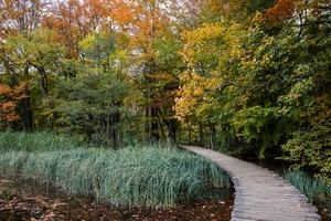 IMG_0069