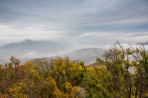 IMG_0336