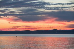 IMG_0845