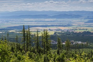 IMG_1200