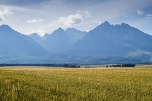 IMG_1322