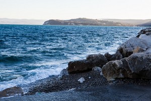 IMG_7626