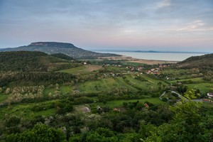 IMG_8251