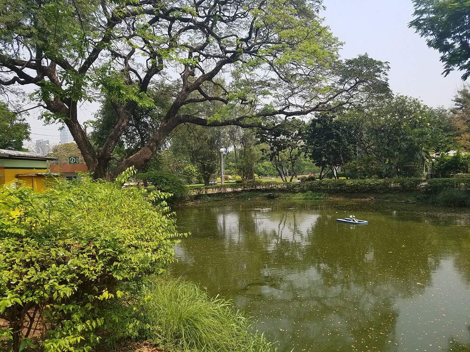 Lumini park