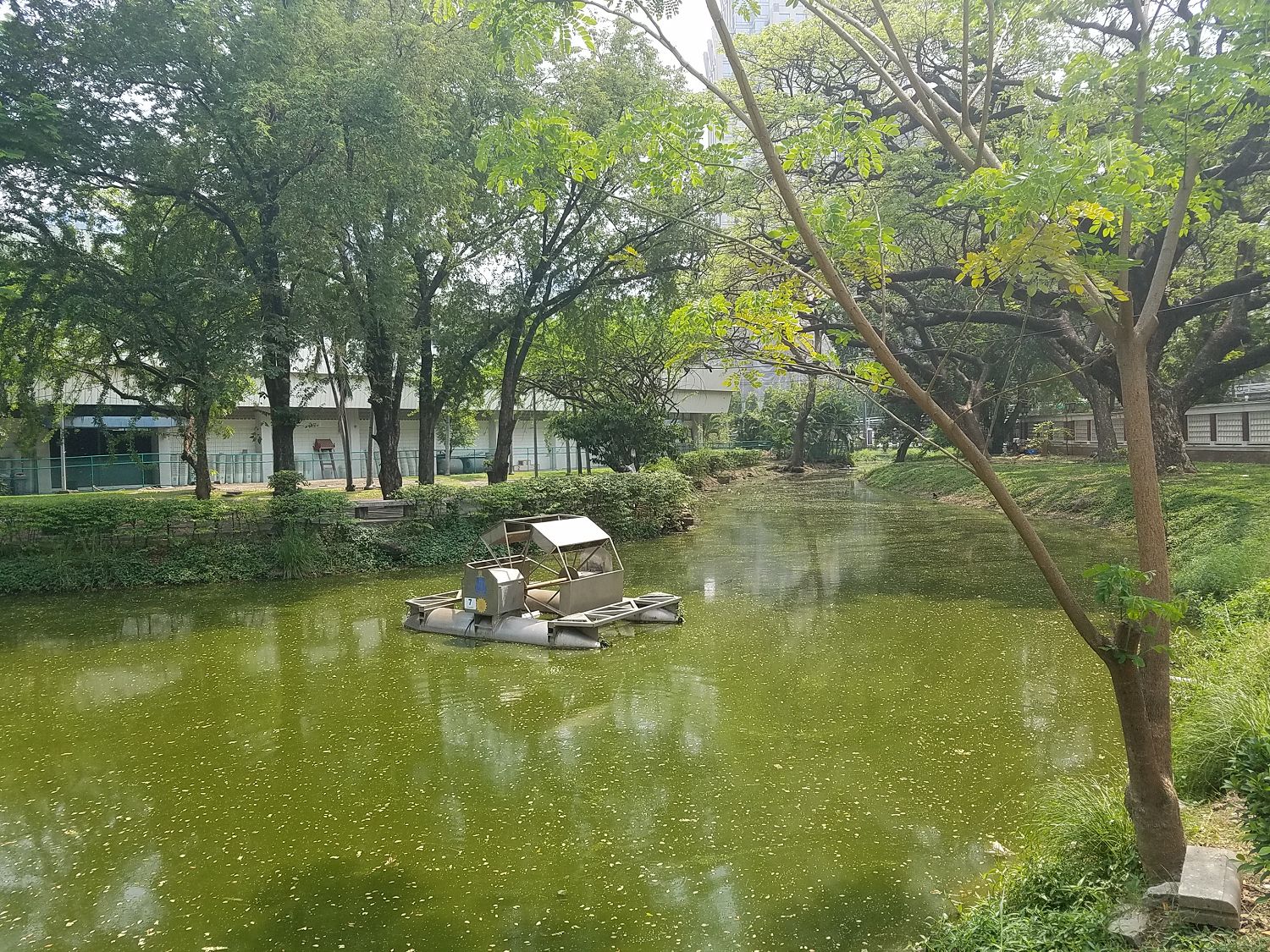 Lumini park egy másik szögből