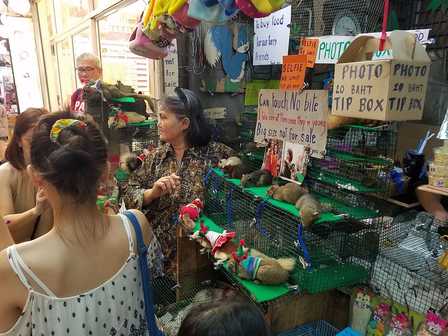 Ennek külön sztorija van. A lényeg, hogy a néni láncra vert és beöltöztetett mókusait 20 baht-ért lehet fotózni. A vén banya szereintem valami csúszómászóként fog újjászületni...