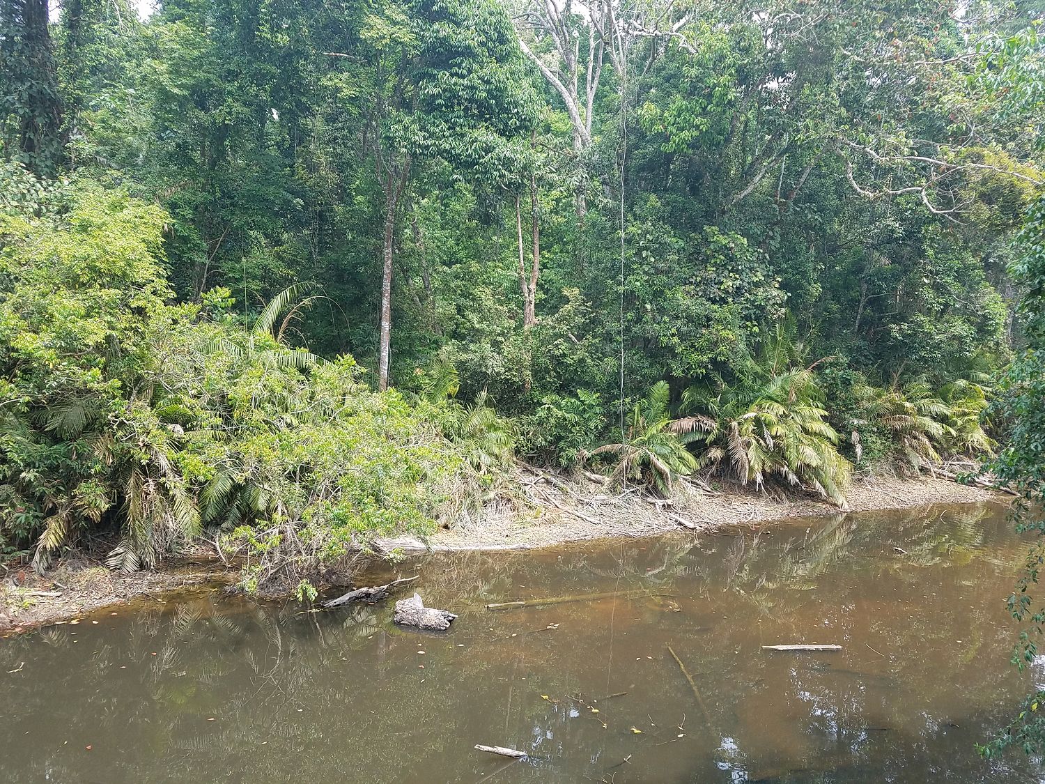 A nemzeti park irodája mögötti folyó részlet